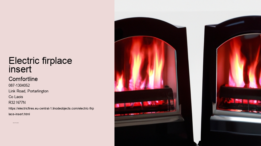 electric firplace insert